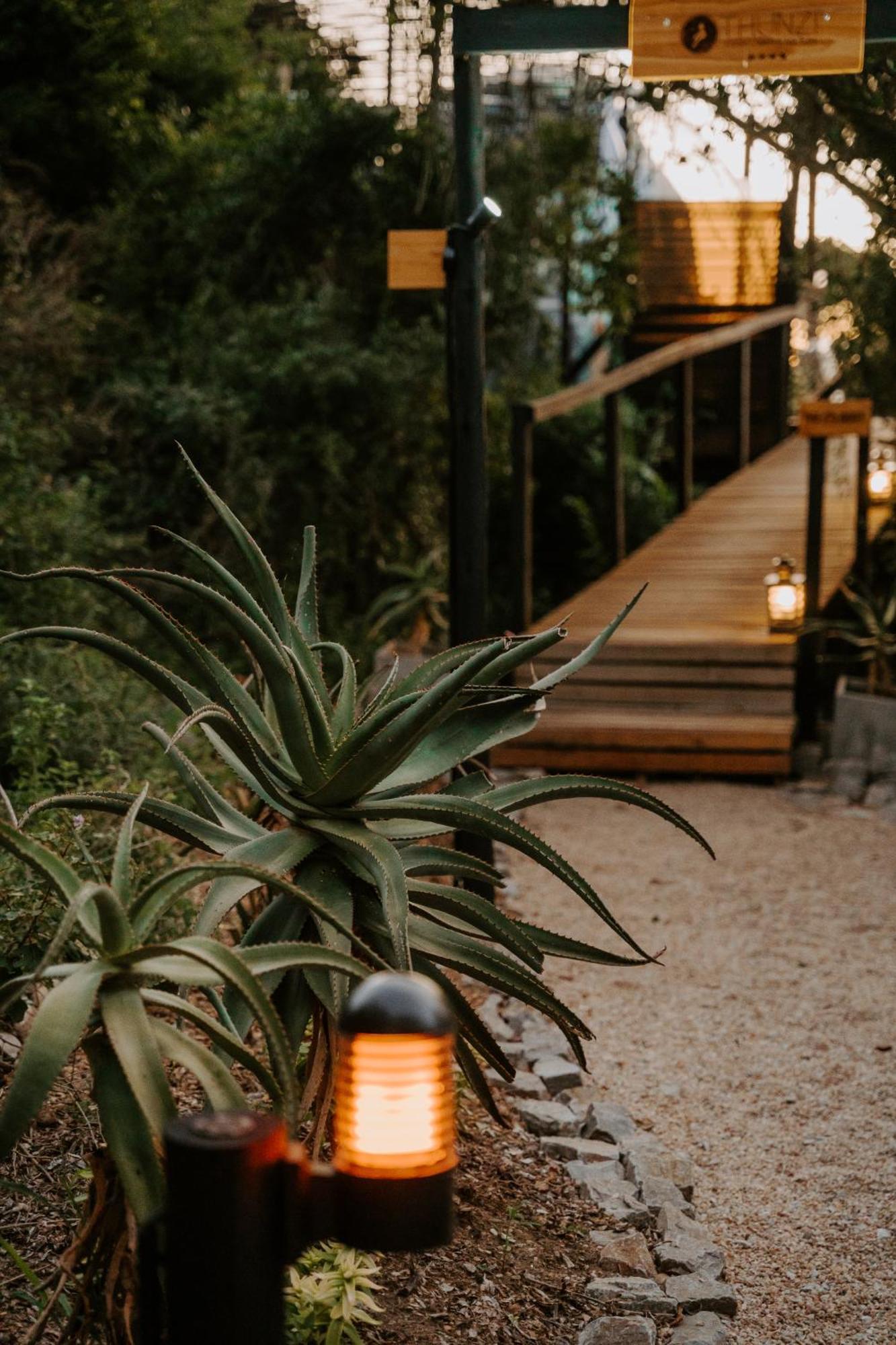 Thunzi Bush Lodge Beachview Ngoại thất bức ảnh
